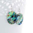 PAUA SHELL EARRINGS